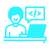 Software Developer