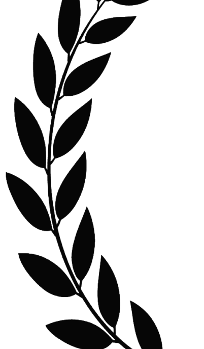 Left Wing Decoration