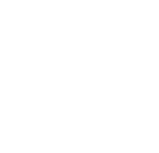 Velocity Logo